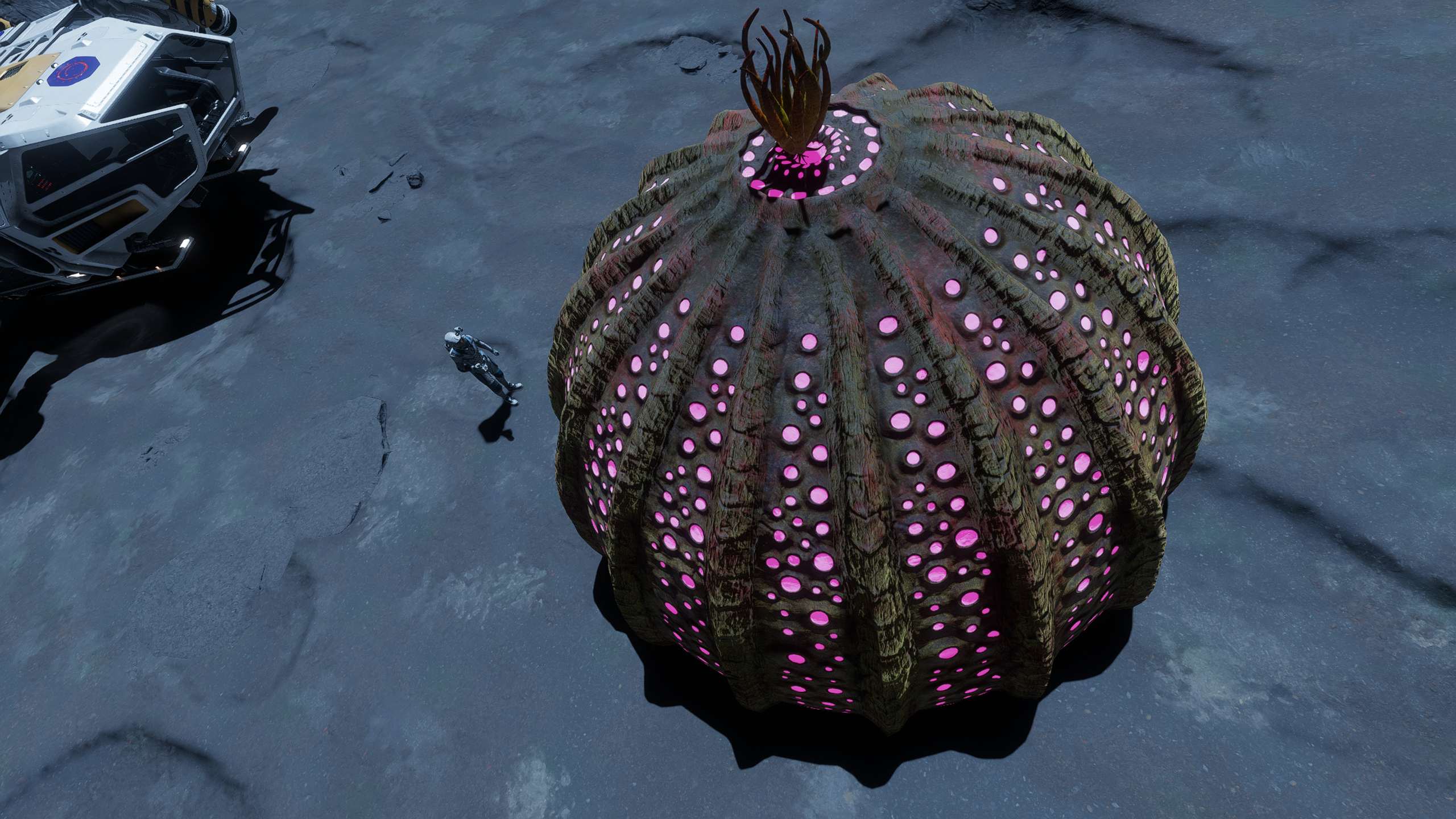 Gigantic Space Anemone