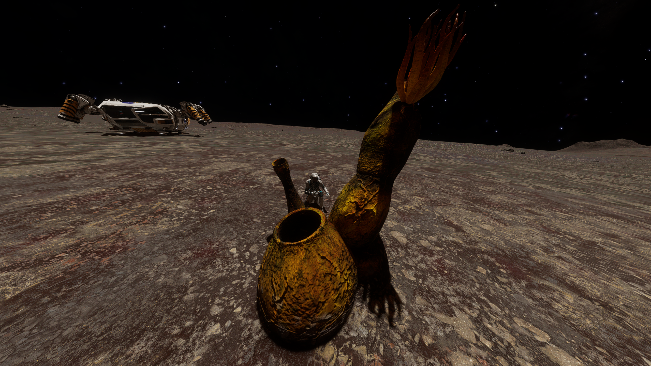 Amphora